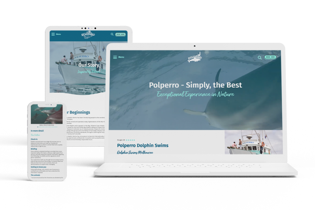 polperro dolphin swims web design